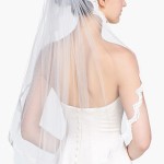 Lace Border Wedding Veil