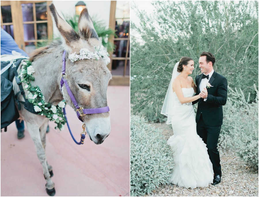  romance in arizona- animals in wedding